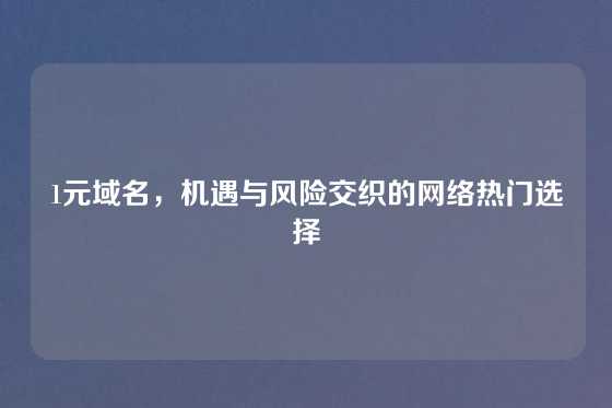 1元域名，机遇与风险交织的网络热门选择