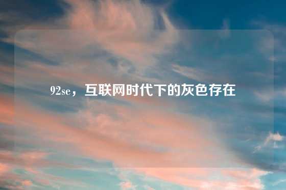 92se，互联网时代下的灰色存在