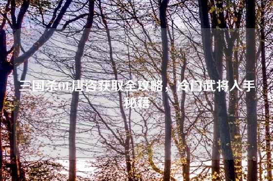 三国杀OL唐咨获取全攻略，冷门武将入手秘籍