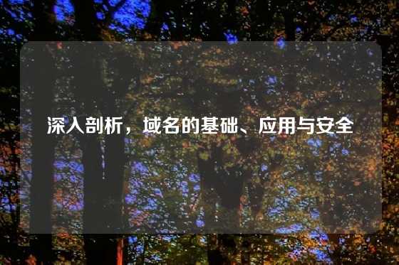 深入剖析，域名的基础、应用与安全