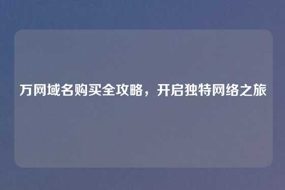 万网域名购买全攻略，开启独特网络之旅