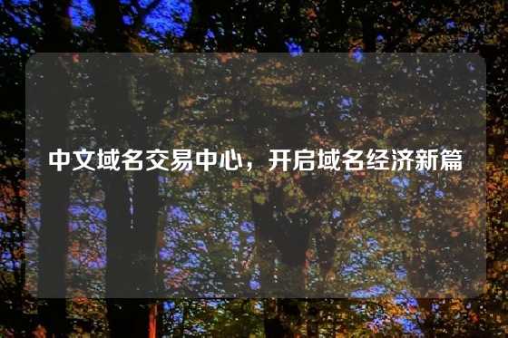 中文域名交易中心，开启域名经济新篇