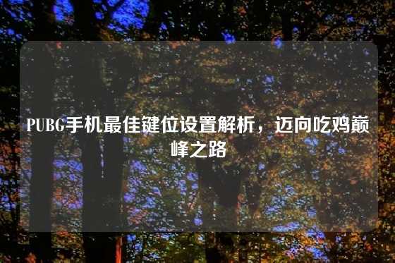 PUBG手机最佳键位设置解析，迈向吃鸡巅峰之路