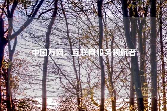 中国万网，互联网服务领航者
