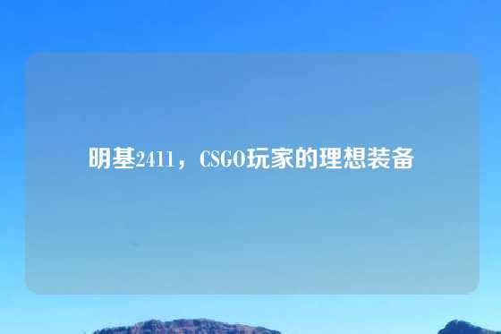 明基2411，CSGO玩家的理想装备
