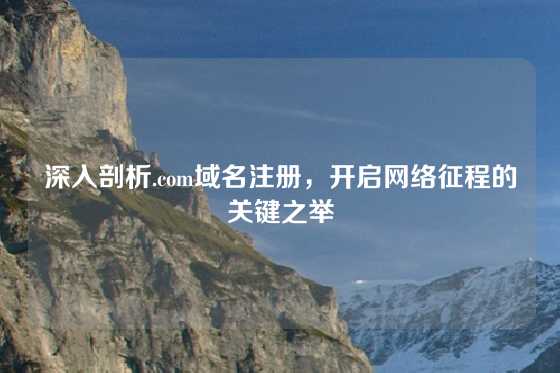 深入剖析.com域名注册，开启网络征程的关键之举