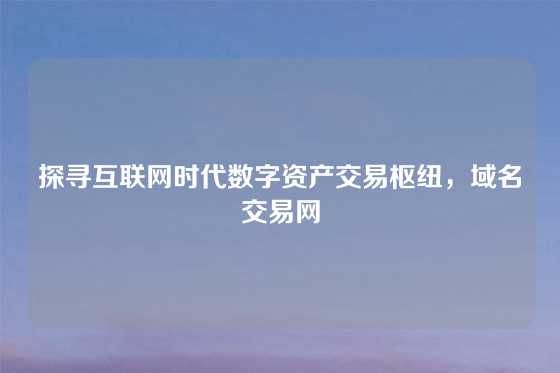 探寻互联网时代数字资产交易枢纽，域名交易网