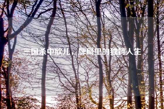 三国杀中欣儿，牌局里的独特人生