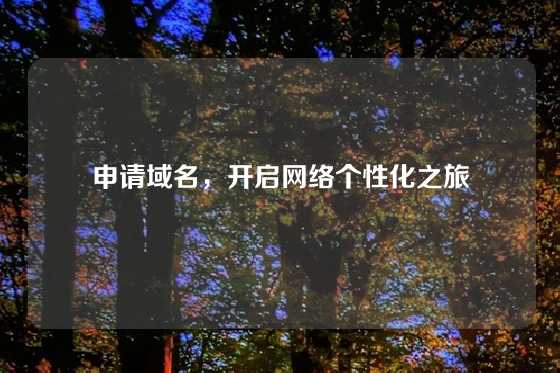 申请域名，开启网络个性化之旅