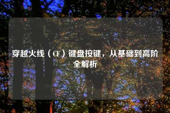 穿越火线（CF）键盘按键，从基础到高阶全解析
