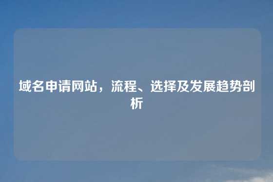 域名申请网站，流程、选择及发展趋势剖析