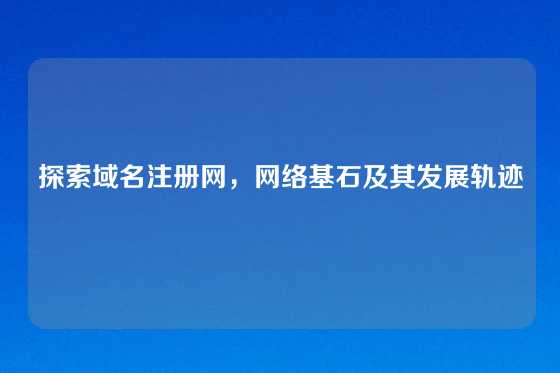 探索域名注册网，网络基石及其发展轨迹
