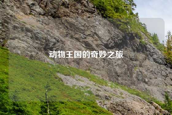 动物王国的奇妙之旅