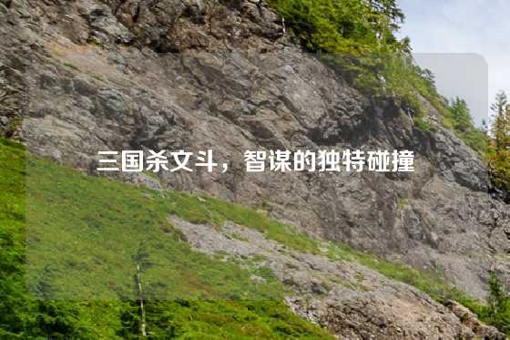 三国杀文斗，智谋的独特碰撞