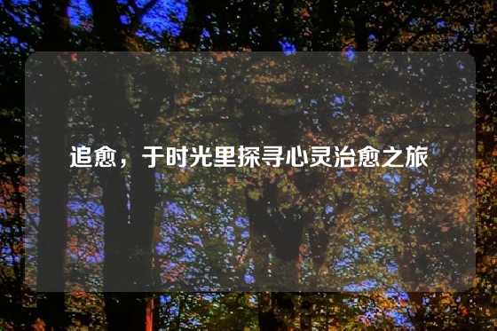 追愈，于时光里探寻心灵治愈之旅