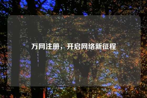 万网注册，开启网络新征程