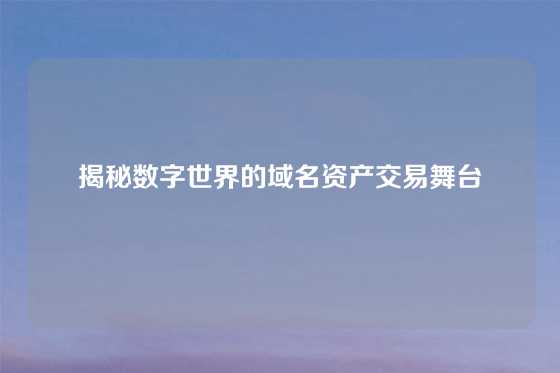 揭秘数字世界的域名资产交易舞台