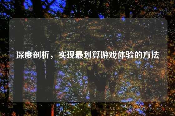 深度剖析，实现最划算游戏体验的方法