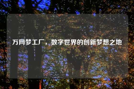 万网梦工厂，数字世界的创新梦想之地