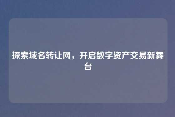 探索域名转让网，开启数字资产交易新舞台