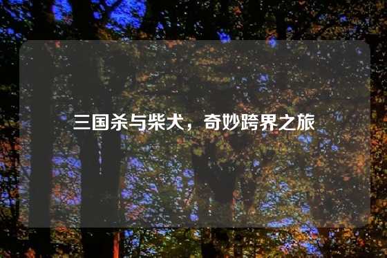 三国杀与柴犬，奇妙跨界之旅