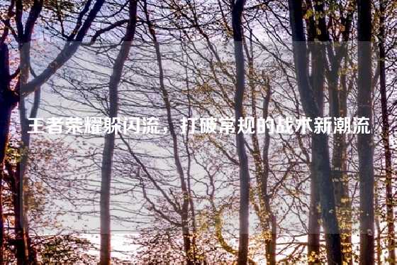 王者荣耀躲闪流，打破常规的战术新潮流