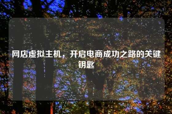 网店虚拟主机，开启电商成功之路的关键钥匙