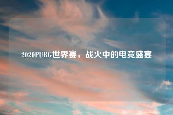 2020PUBG世界赛，战火中的电竞盛宴