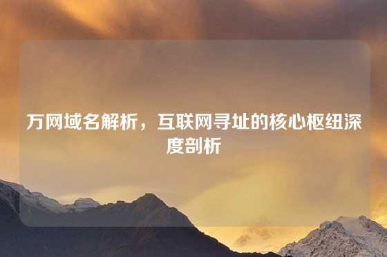 万网域名解析，互联网寻址的核心枢纽深度剖析