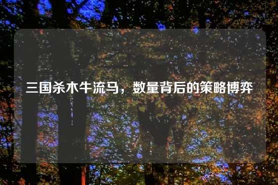 三国杀木牛流马，数量背后的策略博弈