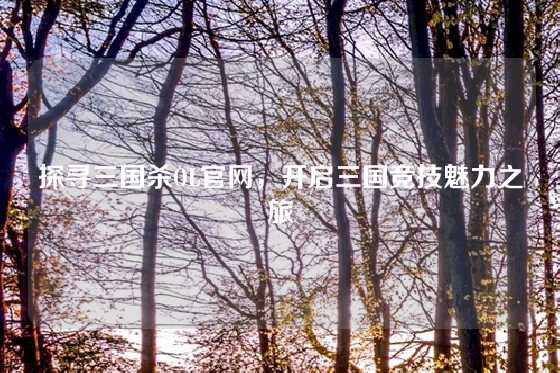 探寻三国杀OL官网，开启三国竞技魅力之旅