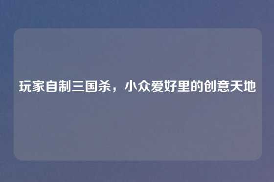 玩家自制三国杀，小众爱好里的创意天地