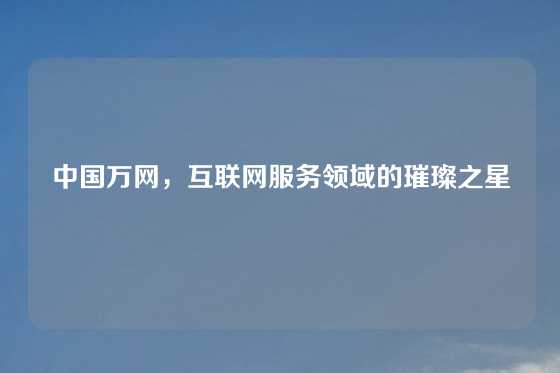 中国万网，互联网服务领域的璀璨之星