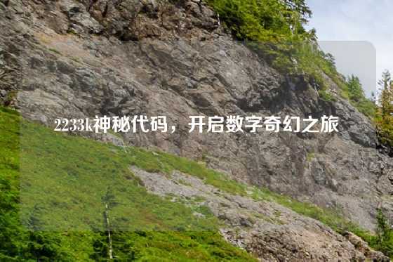 2233k神秘代码，开启数字奇幻之旅