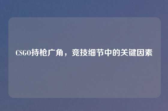 CSGO持枪广角，竞技细节中的关键因素