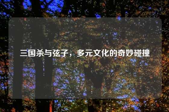 三国杀与弦子，多元文化的奇妙碰撞