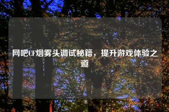 网吧CF烟雾头调试秘籍，提升游戏体验之道