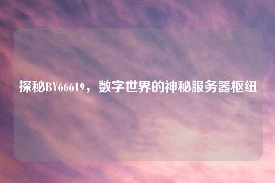 探秘BY66619，数字世界的神秘服务器枢纽