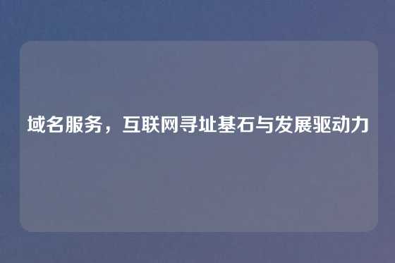 域名服务，互联网寻址基石与发展驱动力