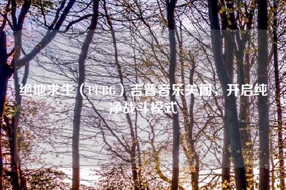 绝地求生（PUBG）吉普音乐关闭，开启纯净战斗模式