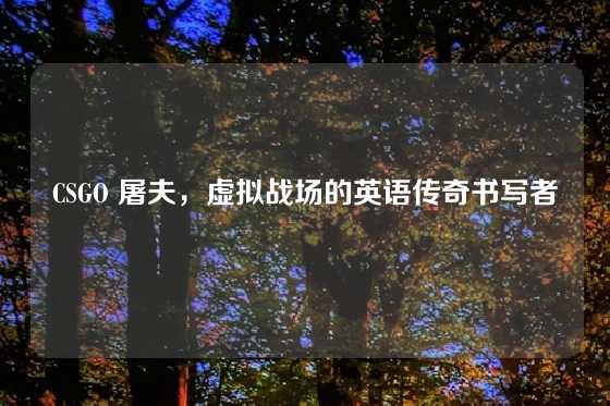 CSGO 屠夫，虚拟战场的英语传奇书写者