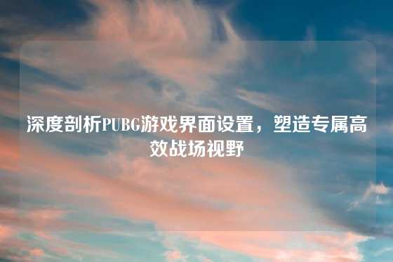 深度剖析PUBG游戏界面设置，塑造专属高效战场视野