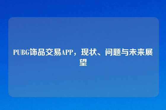 PUBG饰品交易APP，现状、问题与未来展望