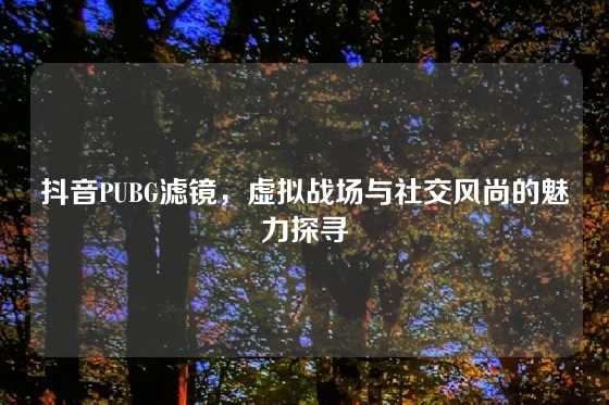 抖音PUBG滤镜，虚拟战场与社交风尚的魅力探寻