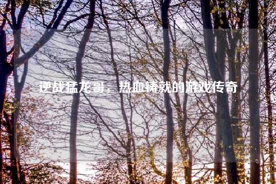 逆战猛龙哥，热血铸就的游戏传奇