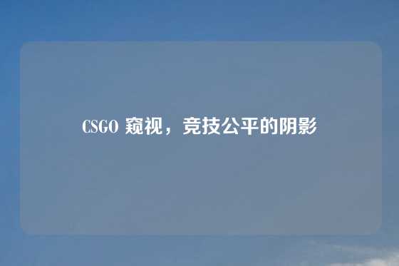 CSGO 窥视，竞技公平的阴影