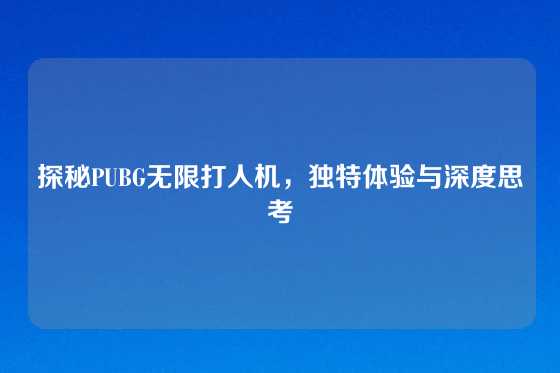 探秘PUBG无限打人机，独特体验与深度思考