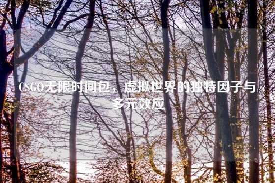 CSGO无限时间包，虚拟世界的独特因子与多元效应