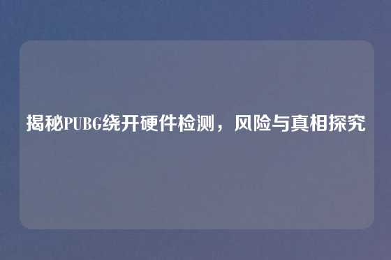 揭秘PUBG绕开硬件检测，风险与真相探究