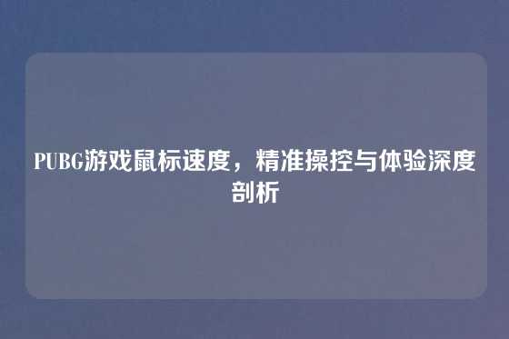 PUBG游戏鼠标速度，精准操控与体验深度剖析